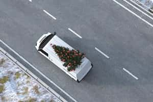 van with christmas tree300